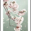 Kirsebærblomster Gren Plakat -POSTERSTORE Salg 11 70233