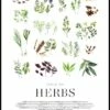 Herbs Plakat -POSTERSTORE Salg 80