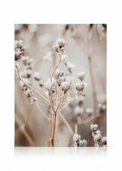 Beige Nature Lærred