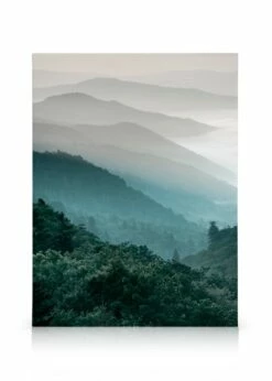 Forest Hills Lærred