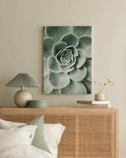 Flower Cactus Lærred -POSTERSTORE Salg can8599 5 3 91230 57547 55479