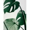 Monstera Leaves Lærred -POSTERSTORE Salg can8722 5 1 76463