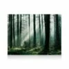 Forest Sunrise Lærred -POSTERSTORE Salg canps50626 5 1
