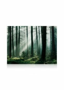 Forest Sunrise Lærred