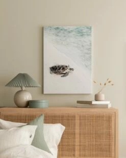 Skildpadde På Stranden Lærred -POSTERSTORE Salg canps50671 5 3 53263 29315 85326 70106