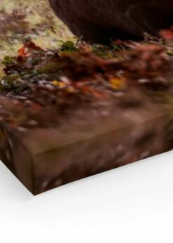 Hvilende Kronhjort Lærred -POSTERSTORE Salg canps50968 27082 97767 30304 44237