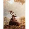 Hvilende Kronhjort Lærred -POSTERSTORE Salg canps50968 5 1