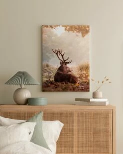 Hvilende Kronhjort Lærred -POSTERSTORE Salg canps50968 5 3 59047 66319 43466 56515 56754