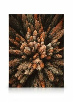 Efterårsskov Lærred