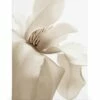 Beige Magnolia Lærred -POSTERSTORE Salg canps50985 5 1