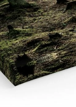 Skov I Solskin Lærred -POSTERSTORE Salg canps51048 11688 70123 3012 61851 17727