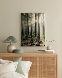 Skov I Solskin Lærred -POSTERSTORE Salg canps51048 5 3 76274 34498 75049 37588 83135 42417