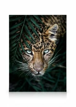 Vild Leopard Lærred