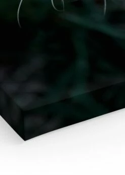 Vild Leopard Lærred -POSTERSTORE Salg canps51237 90116 19831 98208 54725 14387