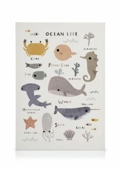 Havets Dyr Lærred -POSTERSTORE Salg canps51263 8 1