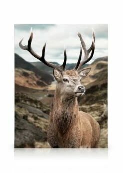 Majestætisk Kronhjort Lærred
