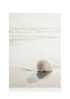 POSTERSTORE Salg -POSTERSTORE Salg canps51438 8 1