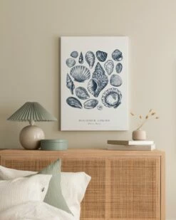 Blå Skaller Lærred -POSTERSTORE Salg canps52629 5 3 45574