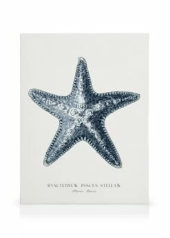 Blå Søstjerne Lærred