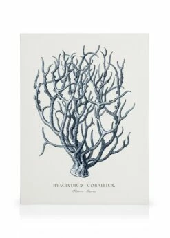 Blå Koral Lærred
