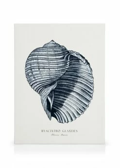 Blå Muslingeskal Lærred