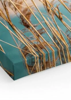 Reeds By The Lake Lærred -POSTERSTORE Salg canps52778 55517 51185