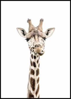 Giraffe Plakat
