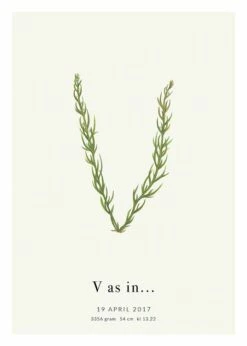 Botanisk Bogstav V Personlig Plakat