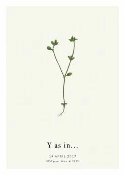 Botanisk Bogstav Y Personlig Plakat