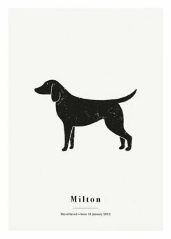 Mit Kæledyr Gadekryds Personlig Plakat