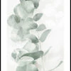Eucalyptus Shades No1 Plakat -POSTERSTORE Salg ps52135