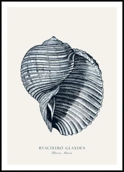 Blå Muslingeskal Plakat